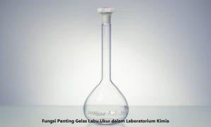 Gelas Labu Ukur