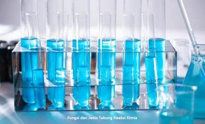 Tabung Reaksi Kimia