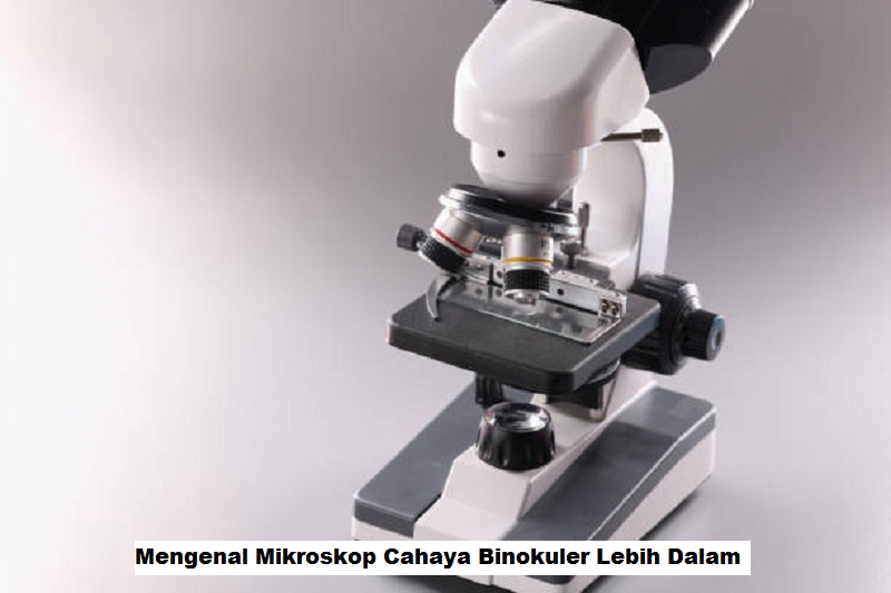 Mikroskop Cahaya Binokuler