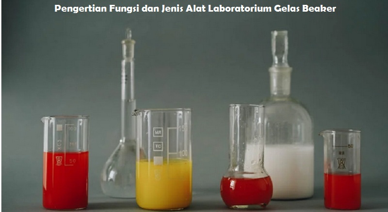 Alat Laboratorium Gelas Beaker