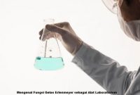 Mengenal Fungsi Gelas Erlenmeyer sebagai Alat Laboratorium